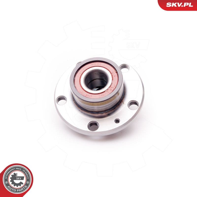 Set rulment roata ESEN SKV 29SKV004