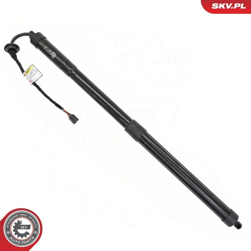 Motor electric, haion ESEN SKV 52SKV169