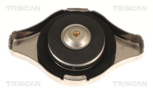 buson,radiator TRISCAN 8610 17