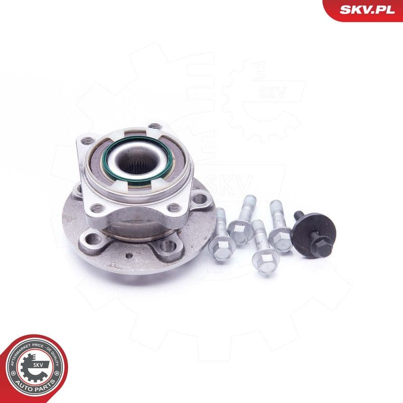 Set rulment roata ESEN SKV 29SKV179