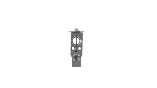 Supapa expansiune, clima MAHLE BEHR AVE 169 000S