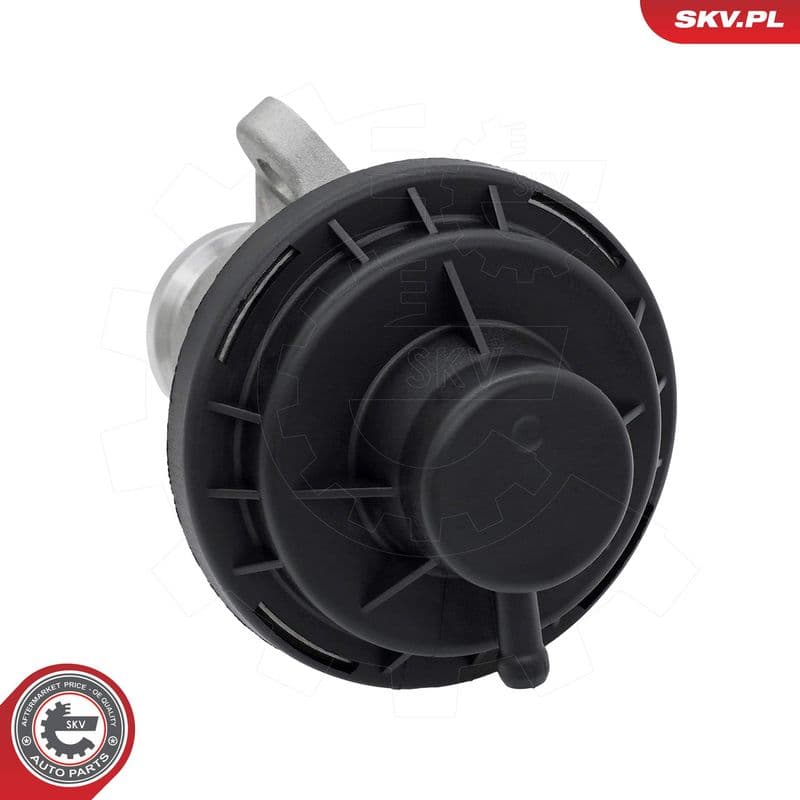 Supapa EGR ESEN SKV 14SKV291