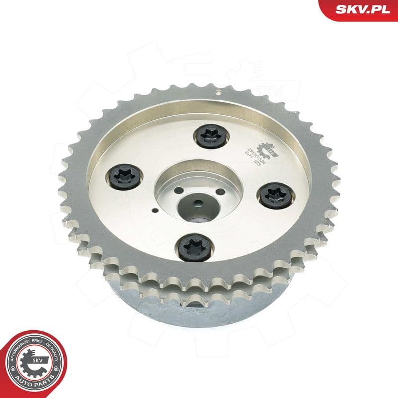 Regulator ax cu came ESEN SKV 39SKV524
