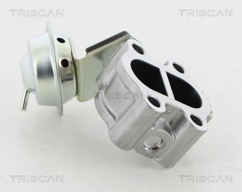 Supapa EGR TRISCAN 8813 13060