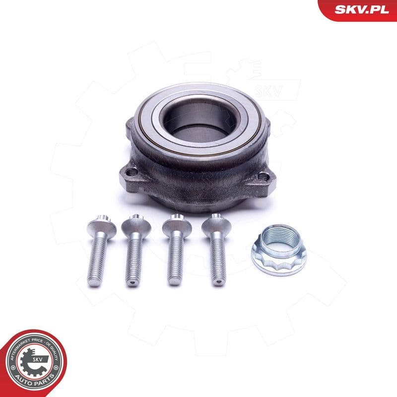 Set rulment roata ESEN SKV 29SKV508