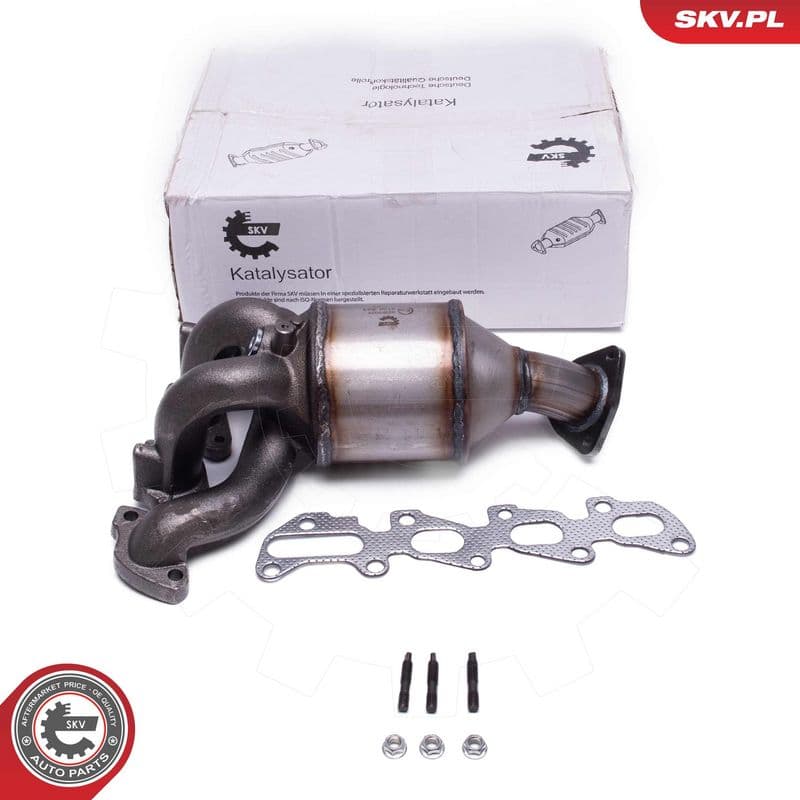 Catalizator ESEN SKV 62SKV029