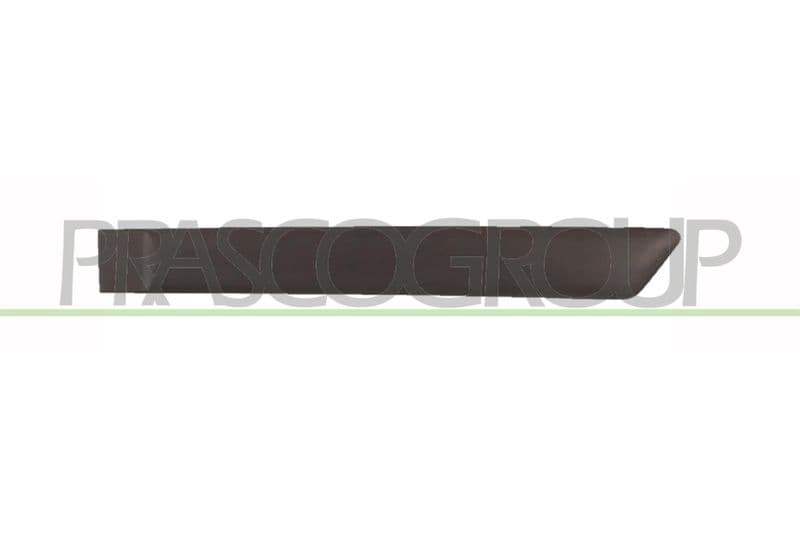 Elemente decorative/protectie, portiera PRASCO FD3421454