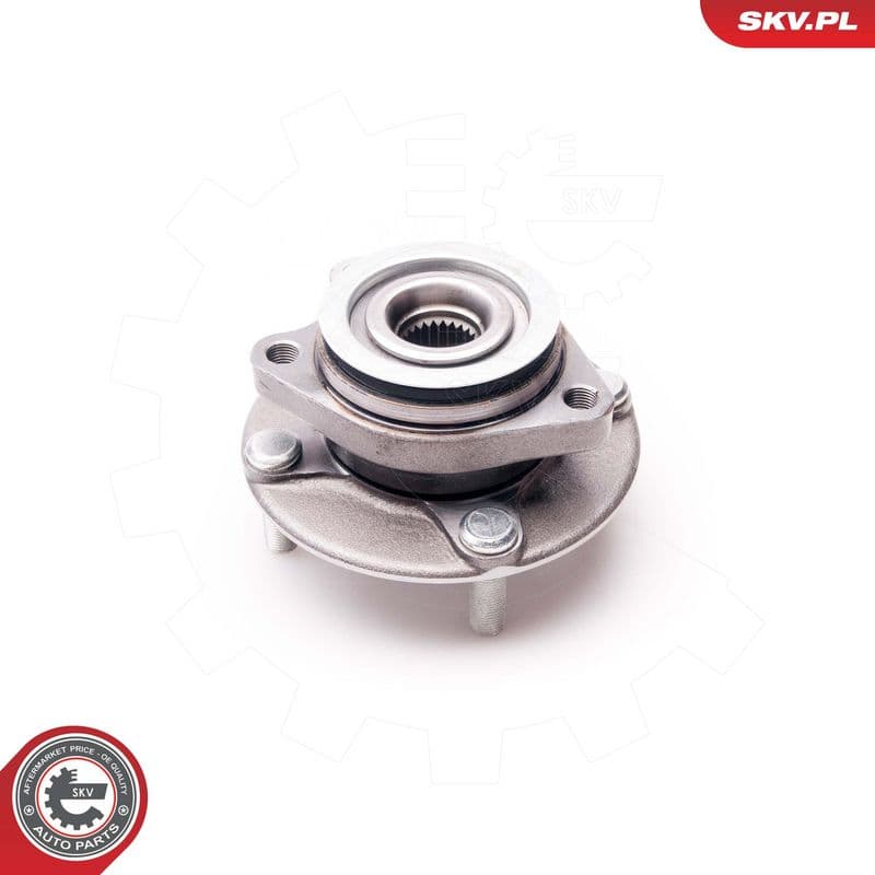 Set rulment roata ESEN SKV 29SKV105