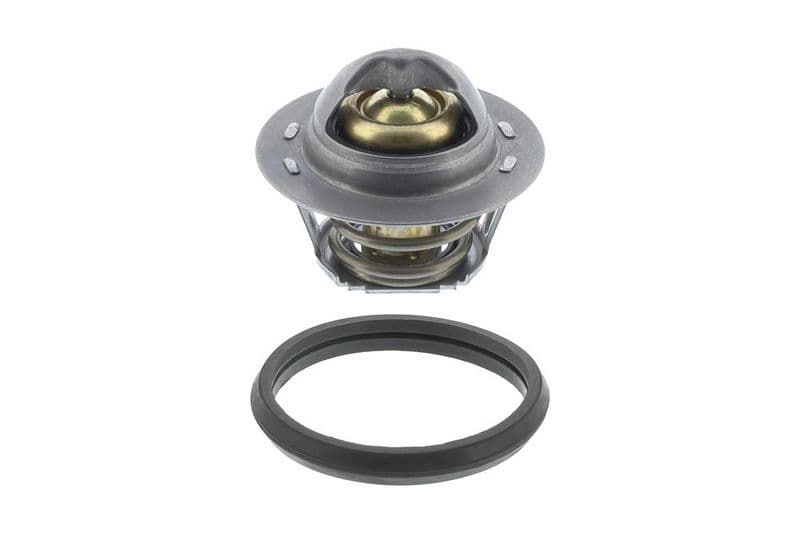 termostat,lichid racire TOPRAN 630 314