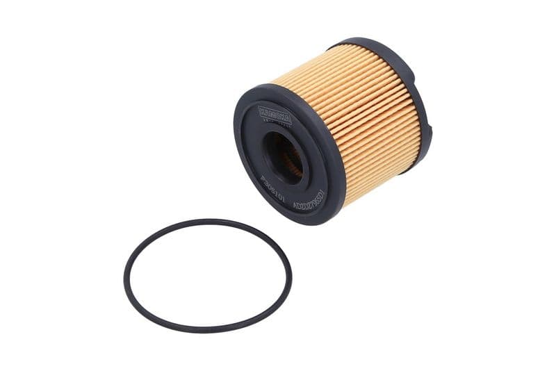 filtru combustibil KAMOKA F305101