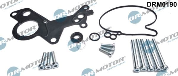 Set reparatie, pompa vacuum (Siste frana) Dr.Motor Automotive DRM0190