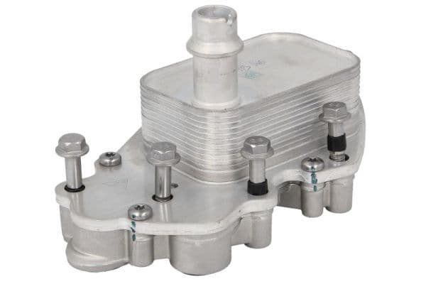 Radiator ulei, ulei motor THERMOTEC D4X025TT