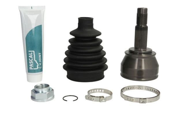 Set articulatie, planetara PASCAL G1F045PC