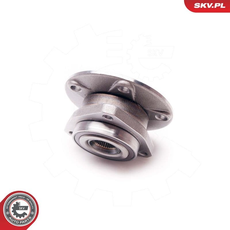 Set rulment roata ESEN SKV 29SKV040