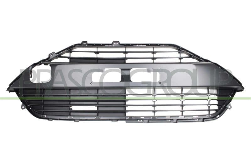 Grila radiator PRASCO TY2082001