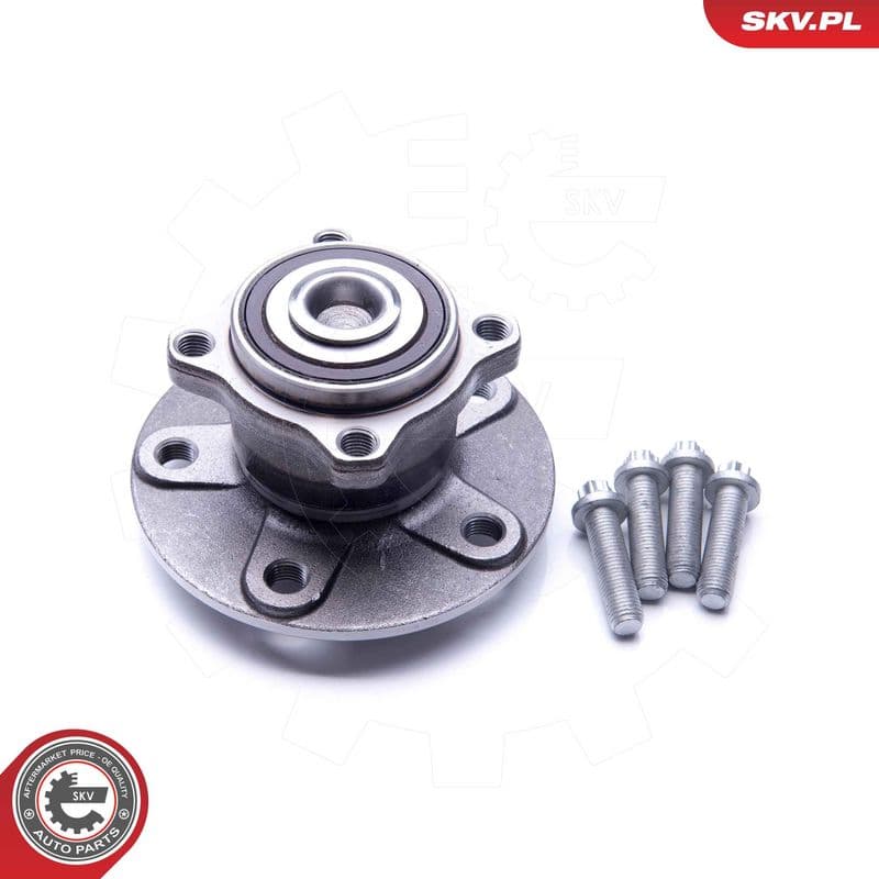 Set rulment roata ESEN SKV 29SKV267