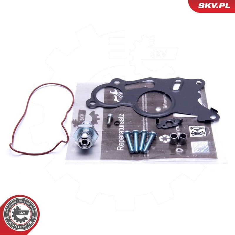Set reparatie, pompa vacuum (Siste frana) ESEN SKV 18SKV803