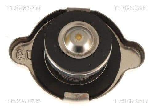 buson,radiator TRISCAN 8610 2