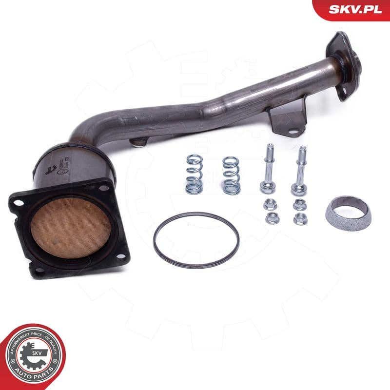 Catalizator ESEN SKV 62SKV022