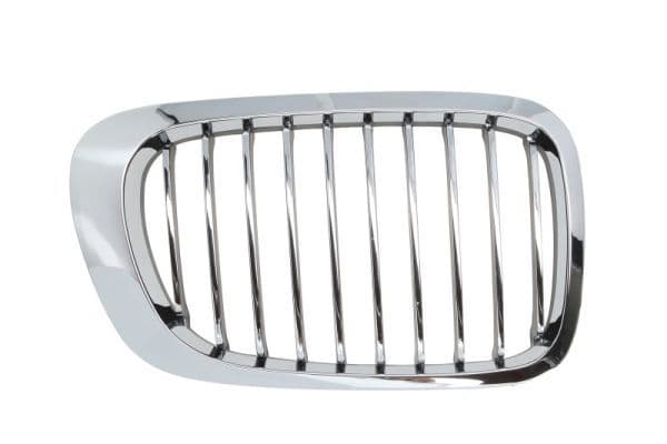 Grila radiator BLIC 6502-07-0061996PP