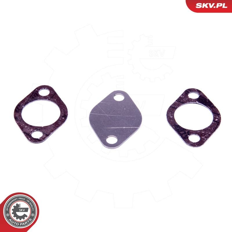 Set de reparație, supapă AGR ESEN SKV 14SKV550