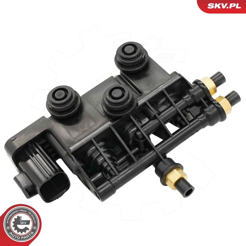 supapa,sistem supraalimentare ESEN SKV 93SKV822