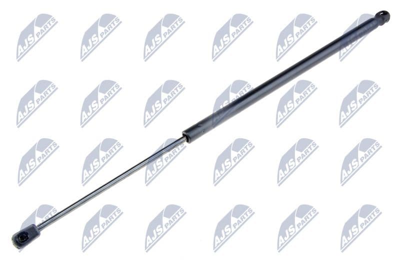 Amortizor portbagaj NTY AE-FR-034
