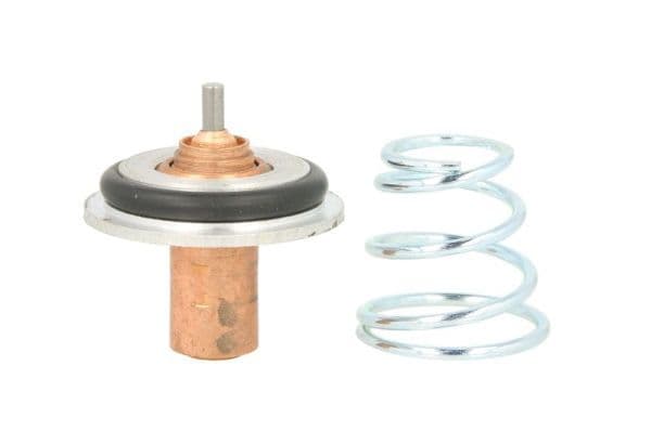 termostat,lichid racire THERMOTEC D2R002TT