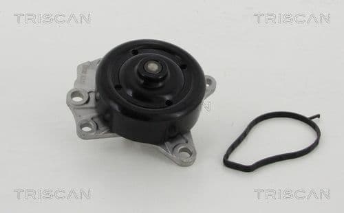 Pompă de apă, răcire motor TRISCAN 8600 10022