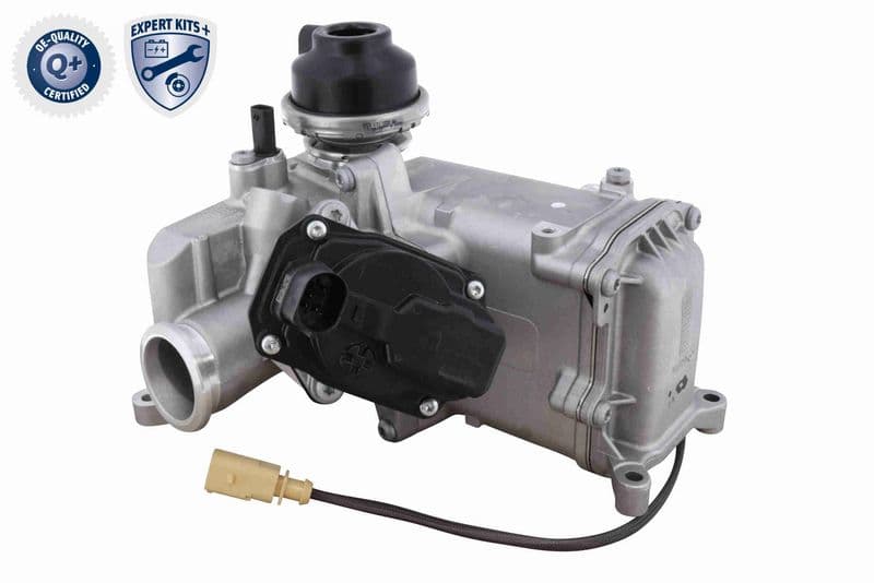 Radiator, recirculare gaze de esapament VEMO EXPERT KITS + V10-63-0171