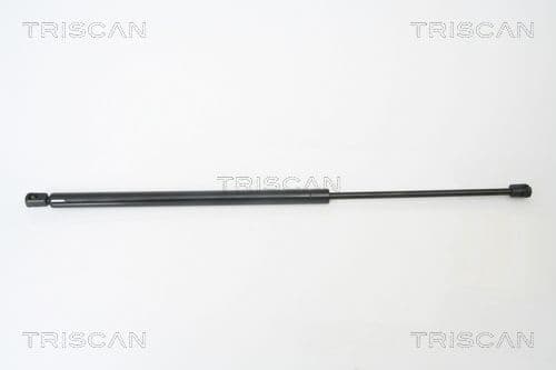 Amortizor portbagaj TRISCAN 8710 23210