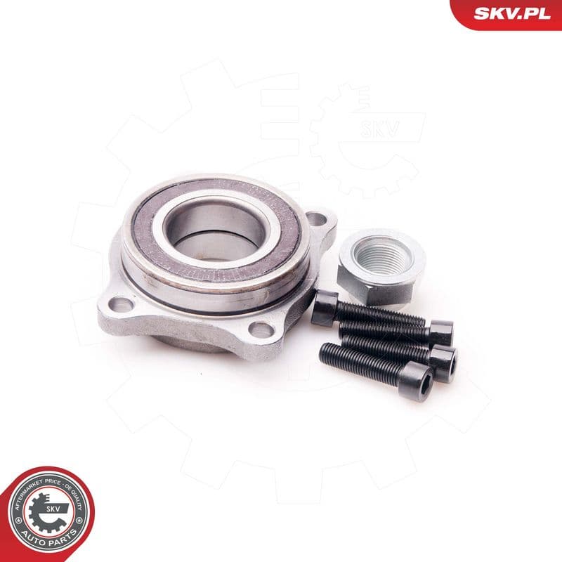 Set rulment roata ESEN SKV 29SKV077