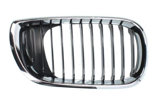 Grila radiator BLIC 6502-07-0061992AP