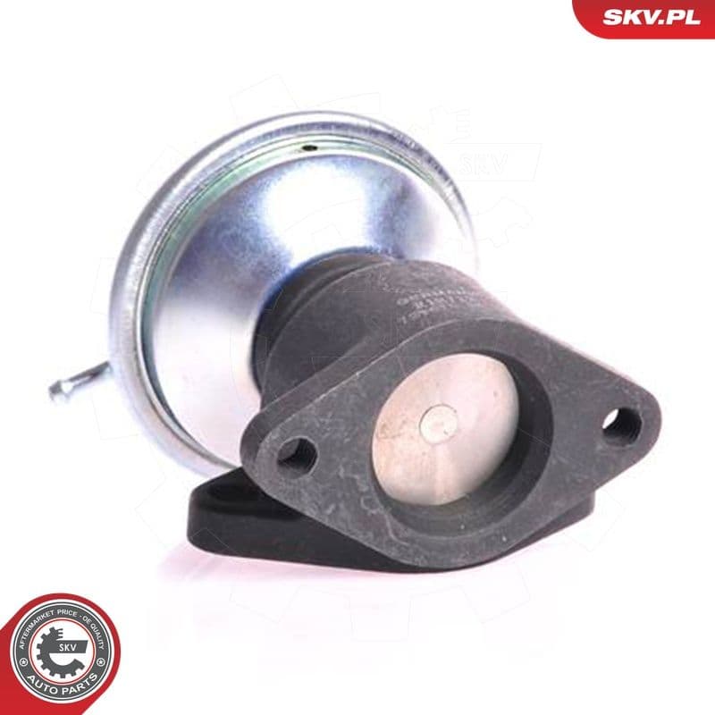 Supapa EGR ESEN SKV 14SKV001