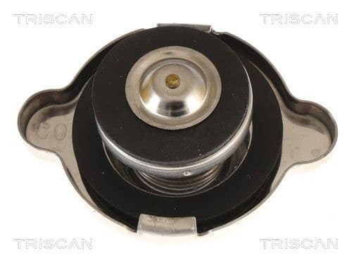 buson,radiator TRISCAN 8610 1