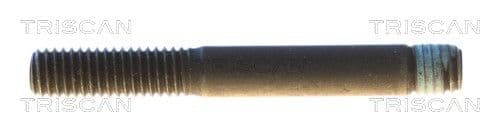 Bolturi fixare, brat suspensie TRISCAN 8501 0521