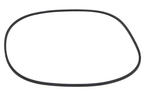 garnitura,piston etrier SBP 12-AG005