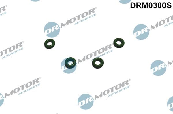 Garnitura, racord admisie combustibil Dr.Motor Automotive DRM0300S