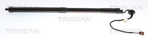 Amortizor portbagaj TRISCAN 8710 27314