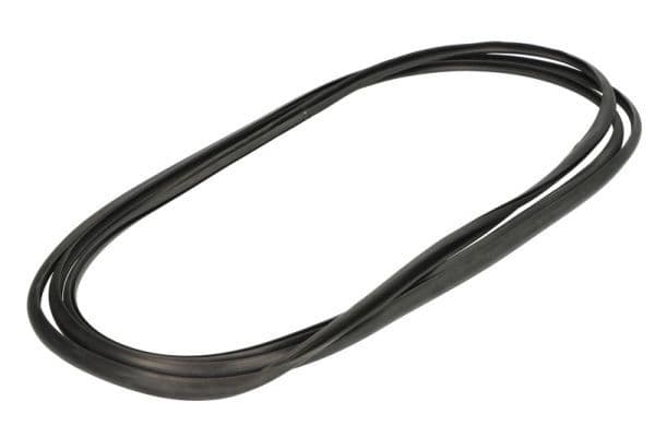 Garnitura, parbriz BLIC 5703-04-6038002Q