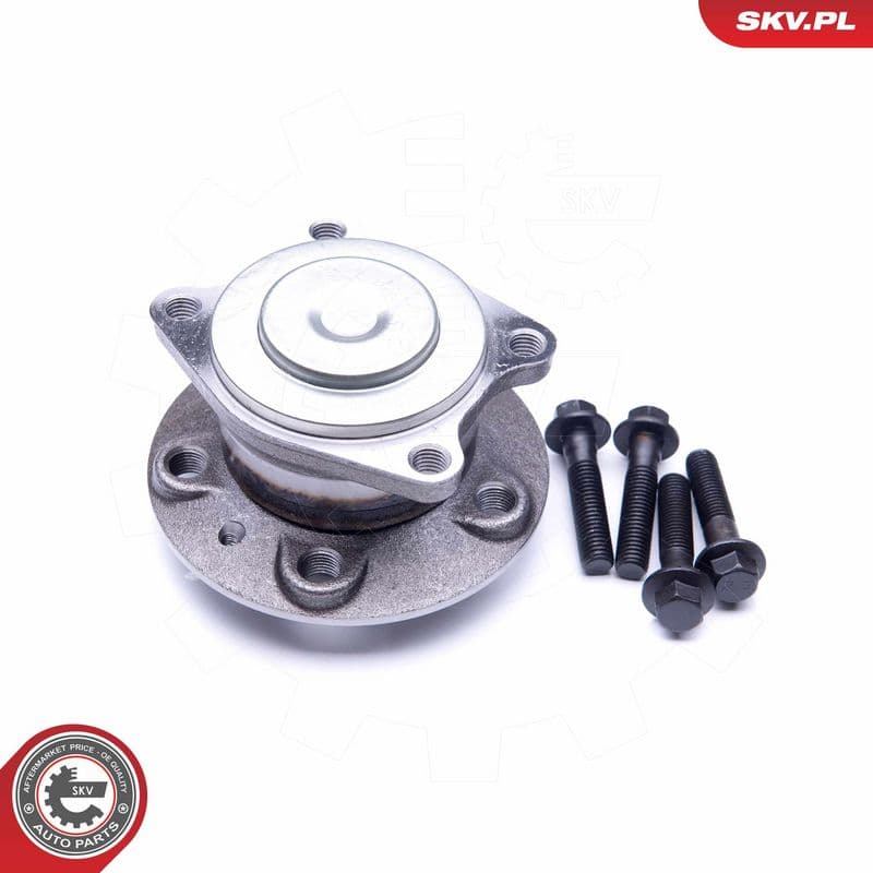 Set rulment roata ESEN SKV 29SKV235