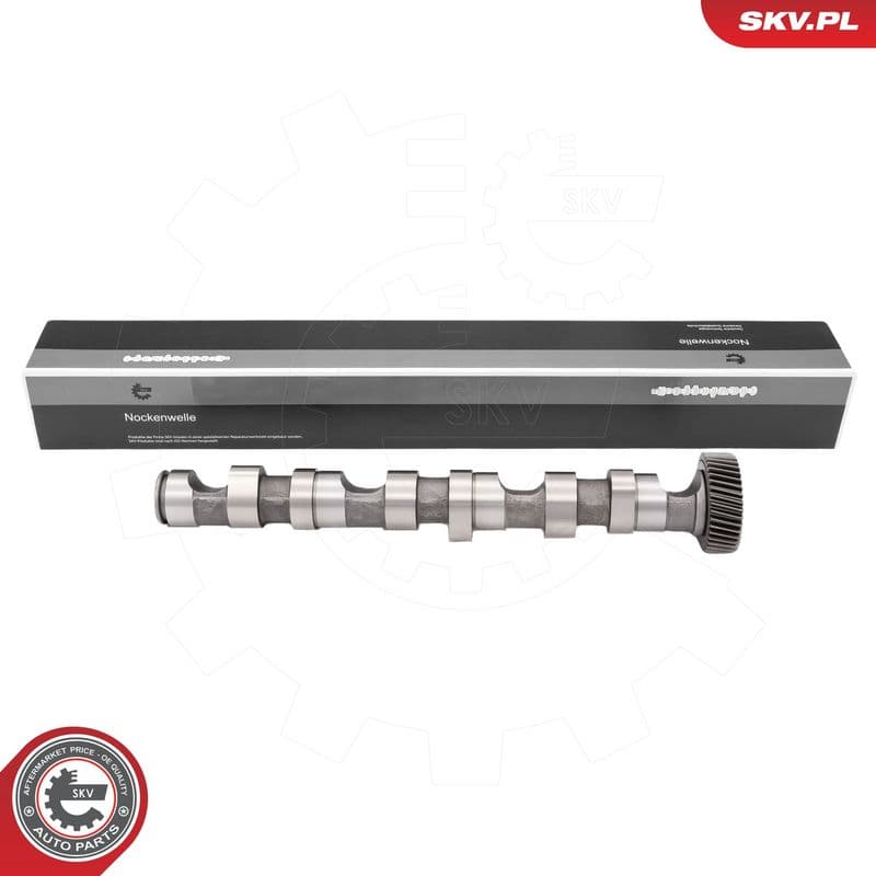 Ax cu came ESEN SKV 80SKV033