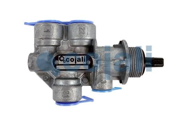 Supapa multicai COJALI 2215224