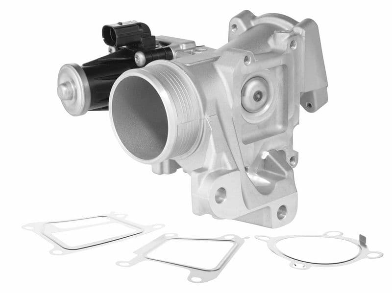 Supapa EGR BorgWarner 729005D