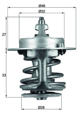 termostat,lichid racire MAHLE BEHR TX 63 88