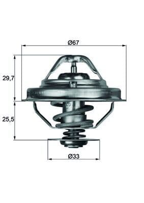 termostat,lichid racire MAHLE BEHR TX 38 80D