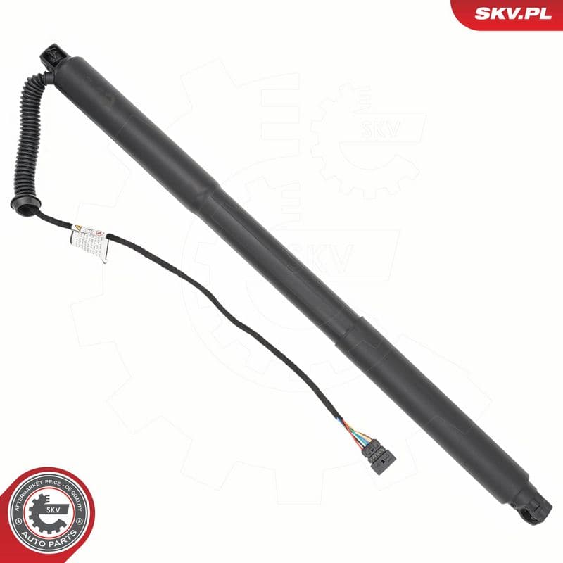 Motor electric, haion ESEN SKV 52SKV978