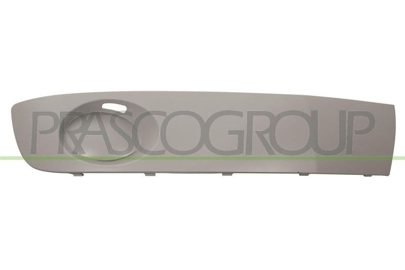 Grila ventilatie, bara protectie PRASCO Premium VG9192143