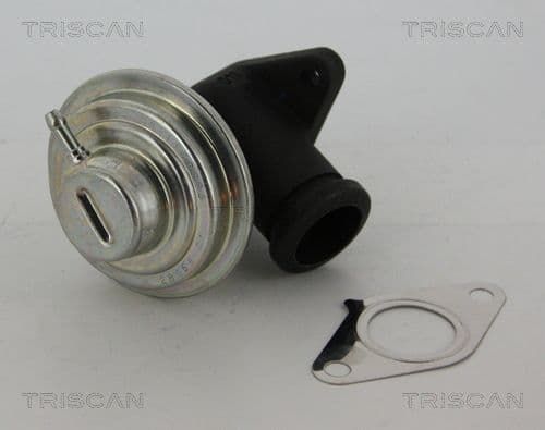 Supapa EGR TRISCAN 8813 28042