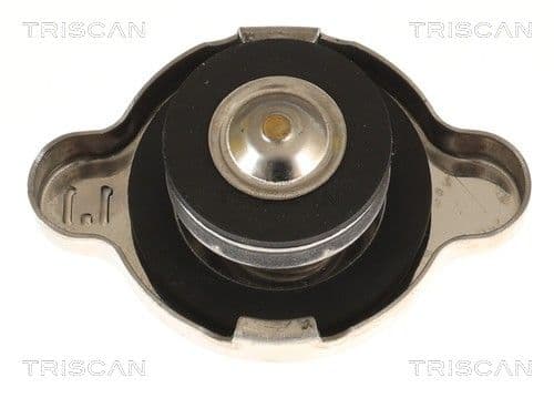 buson,radiator TRISCAN 8610 5